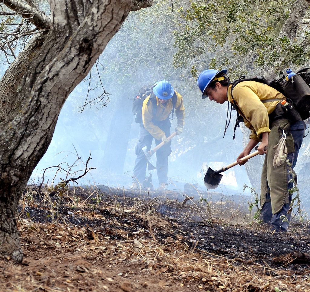 Alle vereint gegen die Waldbrände auf Kos-Insel